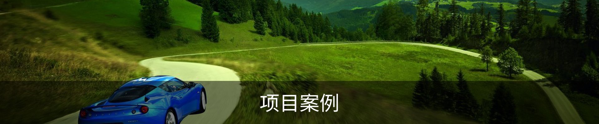 项目案例